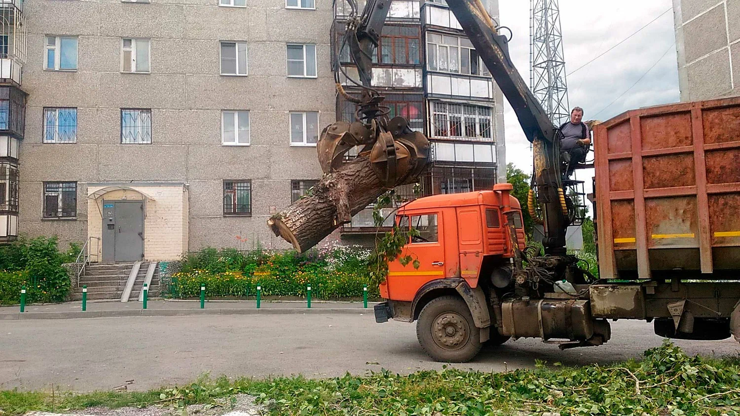 Вывоз спиленных веток и деревьев в Иркутске от ПроМусор: порубочные остатки, утилизация, цена от 3022 руб